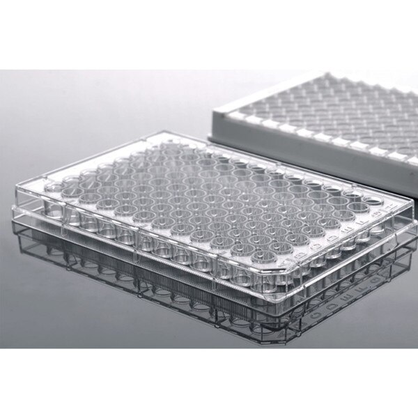 ELISA Plate, High Binding, Clear